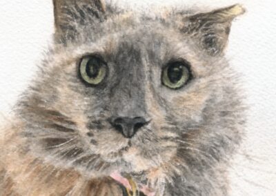 Sheba